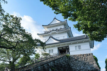 石垣の上に建つ小田原城天守閣