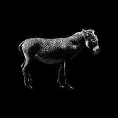 Donkey hand drawing vector isolated on black background.