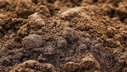 Close-up of dirt and soil

