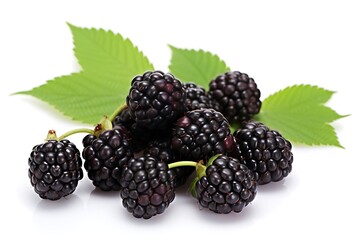 Dewberry on white background, Fresh Dewberry