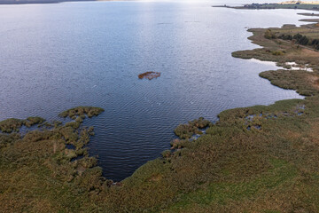 Beautiful landscape from a drone, bushes and vegetation by the lake.