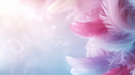 Obraz premium Delicate Pink and White Feathers Against a Blurred Pastel Background