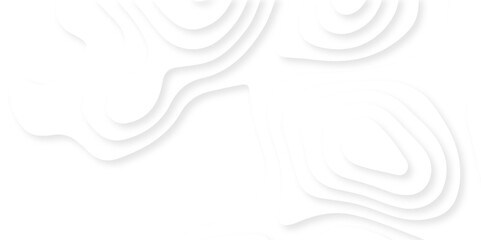 Abstract white paper cut background with lines. Background of the topographic map. White wave paper curved reliefs abstract background. Realistic papercut decoration textured with wavy layers.