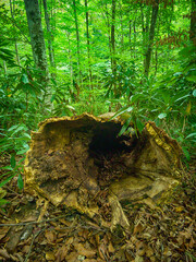 Road pass view to walkway and mountains. Rodopi in Summer.