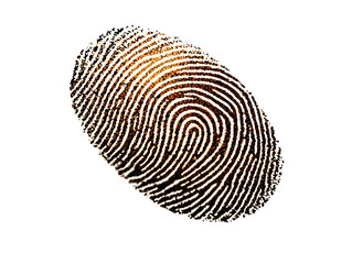 Abstract fingerprint pattern in brown and white transparent background
