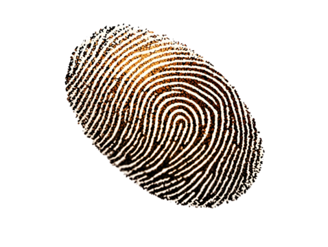 Abstract fingerprint pattern in brown and white transparent background