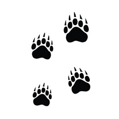 Fototapeta premium bear vector footprint icon