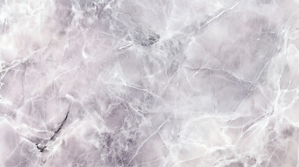 Obraz premium Elegant Pale Gray Marble with Streaks
