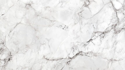 Fototapeta premium Elegant Pale Gray Marble with Silver Streaks