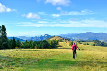 Scene in Pieniny mountains on a warm and sunny autumn day.
Group of tourists backpacker on hiking trail in the mountains in autumn sunny day, against the backdrop of unreal views.
