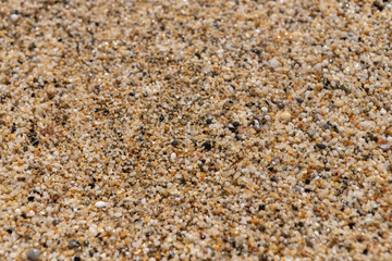 Wet sea sand close-up. Seashore.
