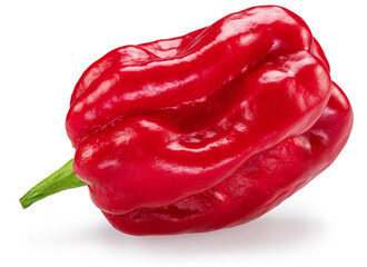 Red habanero pepper on white background. File contains clipping path.