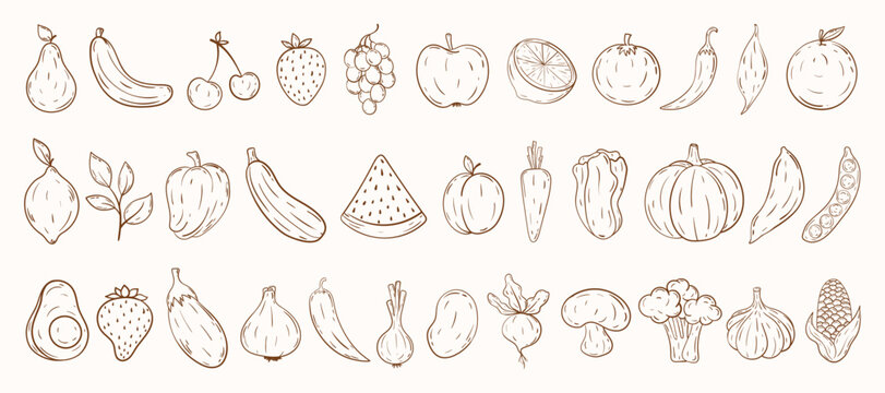 Outline vegetables and fruits collection. Hand draw doodle fruit and veggie icon set. Healthy food icons