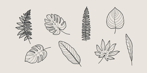 Line art tropical leaves collection