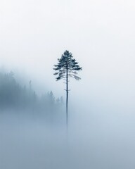 A minimalistic photograph of a single tree standing tall in the middle of a foggy forest, with soft light filtering through the mist, creating a serene and peaceful atmosphere