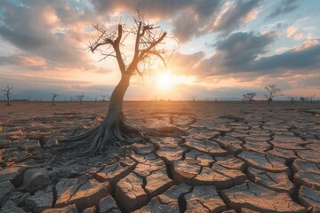 A barren landscape features cracked earth and lifeless trees, illuminated by a golden sunset, showcasing the impact of drought conditions. Generative AI