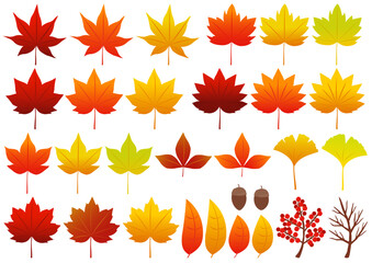 紅葉をイメージした落ち葉や木の実のイラストのセット
