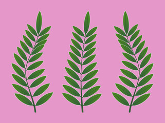 Green leaf Branch vector Clip Art Image, which you can use for different designs and projects. 