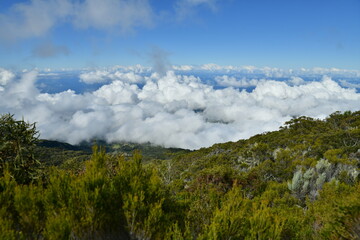 paysage de montagne