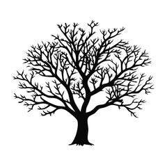 marula-tree-silhouette