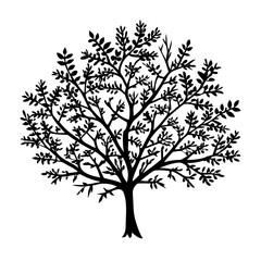 murraya-tree-silhouette