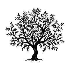 Obraz premium malabar-plum--tree-silhouette