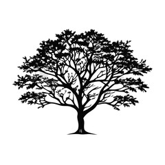 mahogany-tree-silhouette