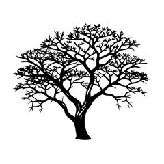 mahogany-tree-silhouette