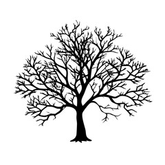 kousa-dogwood-tree-silhouette 