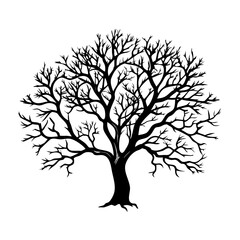 lacebark-pine-tree-silhouette