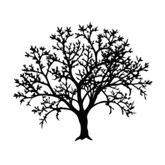 laurel-cherry-tree-silhouette