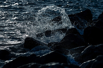 nature in all its beauty