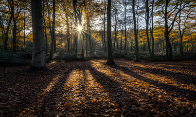 Obraz premium Stunning Nature Landscapes: Mountains, Forests, Oceans, and Serene Vistas.