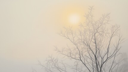 Obraz premium A silhouette of a barren tree against a hazy backdrop at dawn with the sun barely visible through the mist