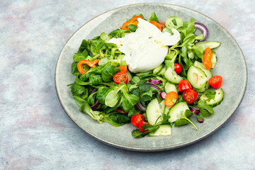 Light salad with Burrata cheese and vegetables
