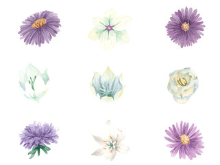 Purple and white flowers png vintage watercolor sticker set