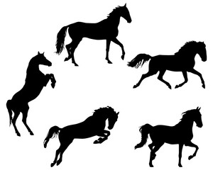 Horses Silhouettes Set, Collection, Black, Pose, Isolated, Jump, Stand, Run, Animal, Vector