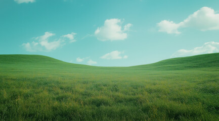 Fototapeta premium A wide shot of the sky, with a clear blue background and a green grass field in front. The grass is tall, with some white flowers blooming on it. 