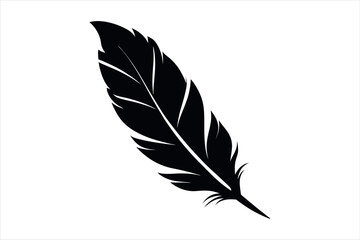 feather vector illustration of white background