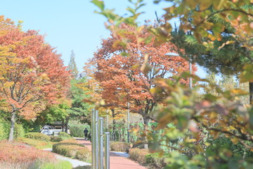 autumn in the park
