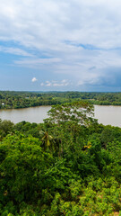 Sri Lanka's lush riverside beauty. A serene view of the river surrounded by rich greenery, highlighting the diverse flora of Sri Lanka's landscape against a cloudy sky.