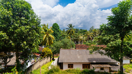 Lush greenery around Sri Lankan homes. Vibrant trees and palm fronds frame traditional houses under...
