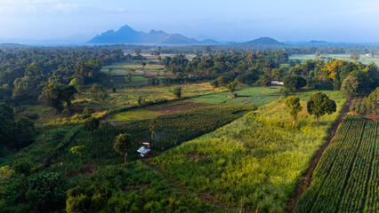 Lush agricultural landscape in Sri Lanka at dawn. A serene view of verdant fields and distant mountains in Sri Lanka, highlighting the beauty of rural agriculture at dawn.