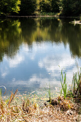 Reflection of blue sky with clouds in forest lake waters with green grass and autumn  leaves