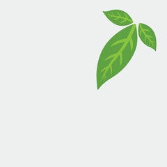 Three Green Leaf Icon Vector Design.