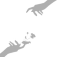PNG flower in hand shadow design element