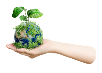 Png sustainable living environmentalist hand holding green earth, transparent background