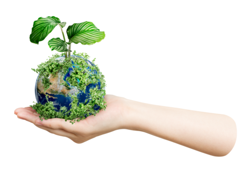 Png sustainable living environmentalist hand holding green earth, transparent background