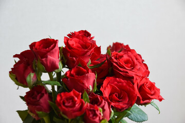 赤い薔薇