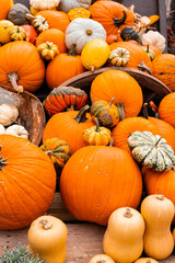 Ingathering.Pumpkins are lying on the table.Lots of pumpkins on market.Halloween
